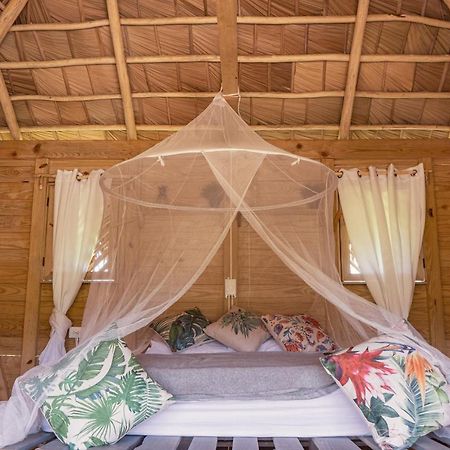 Samana EcolodgeEl Limon エクステリア 写真