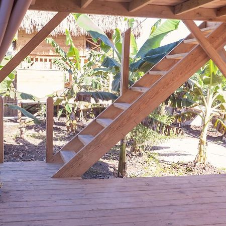 Samana EcolodgeEl Limon エクステリア 写真