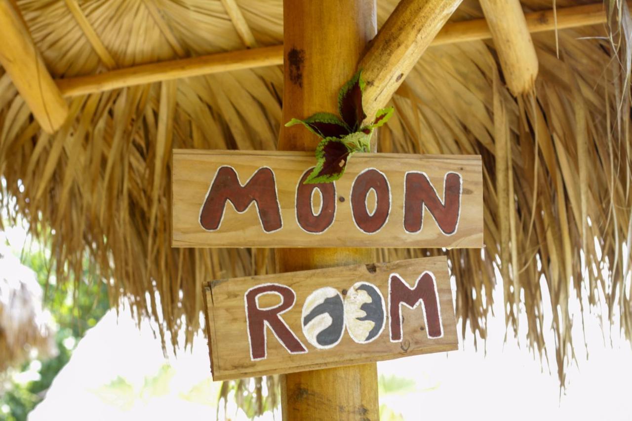 Samana EcolodgeEl Limon エクステリア 写真