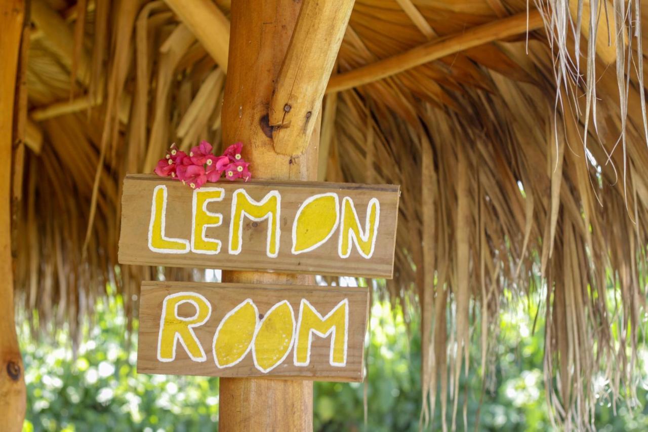 Samana EcolodgeEl Limon エクステリア 写真