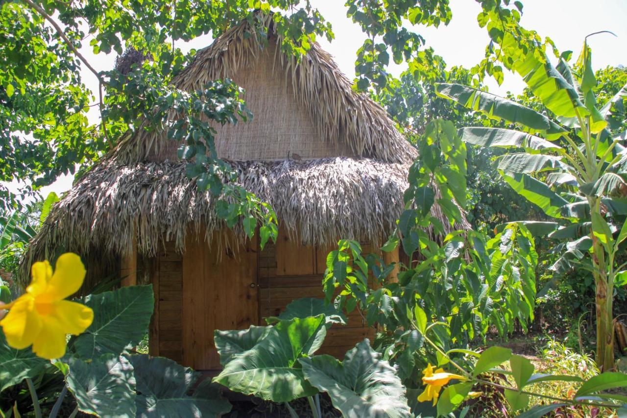 Samana EcolodgeEl Limon エクステリア 写真