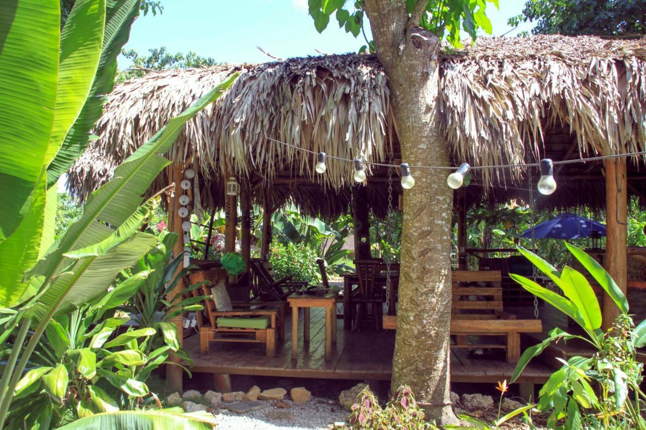 Samana EcolodgeEl Limon エクステリア 写真
