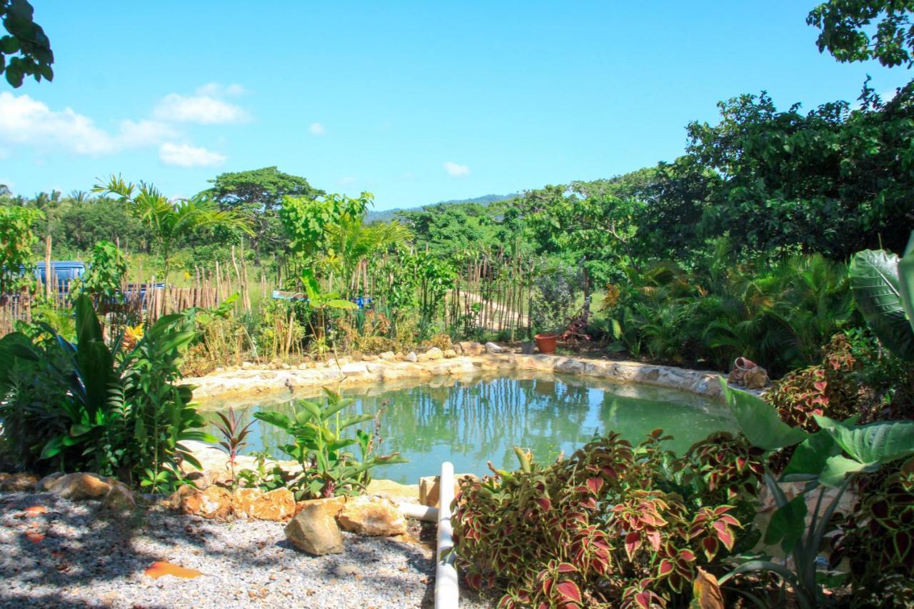 Samana EcolodgeEl Limon エクステリア 写真
