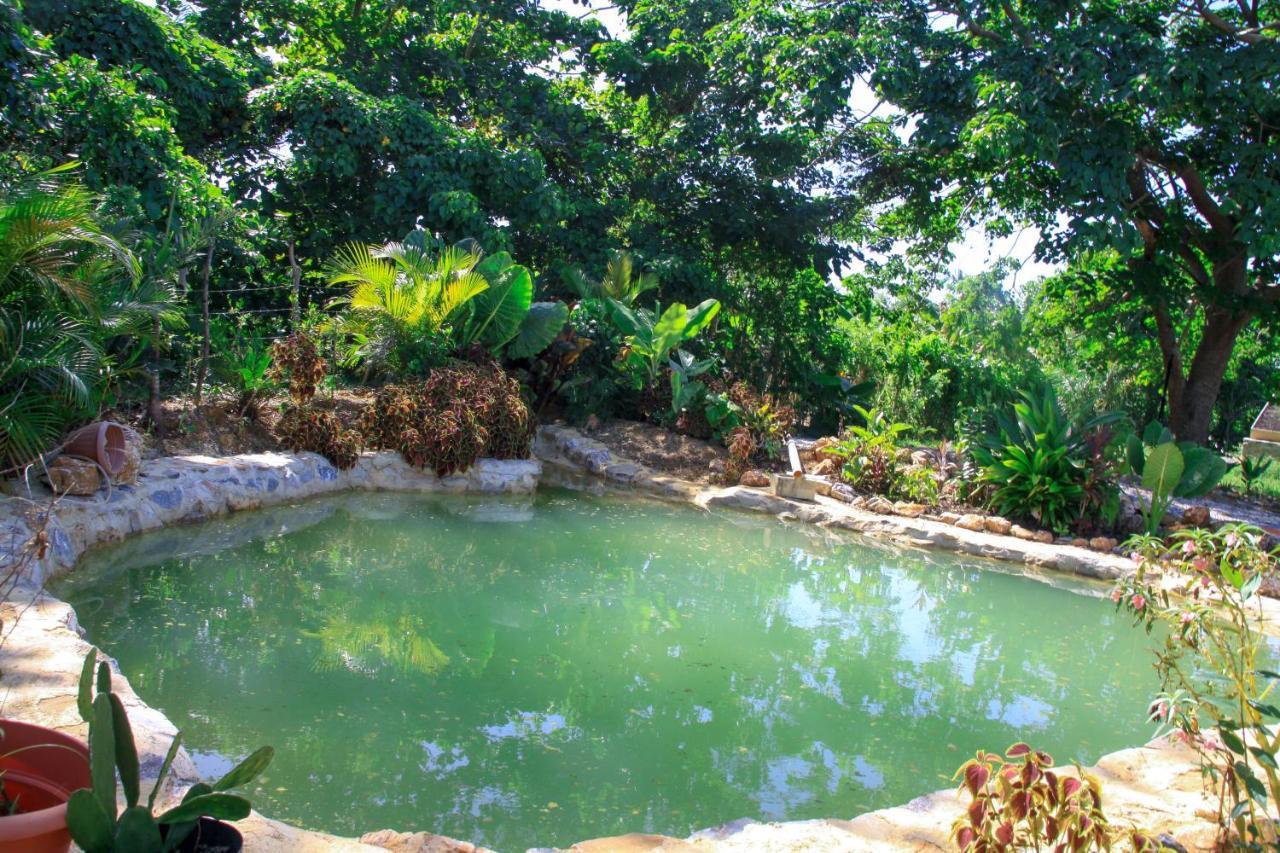 Samana EcolodgeEl Limon エクステリア 写真