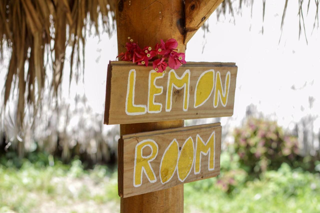 Samana EcolodgeEl Limon エクステリア 写真