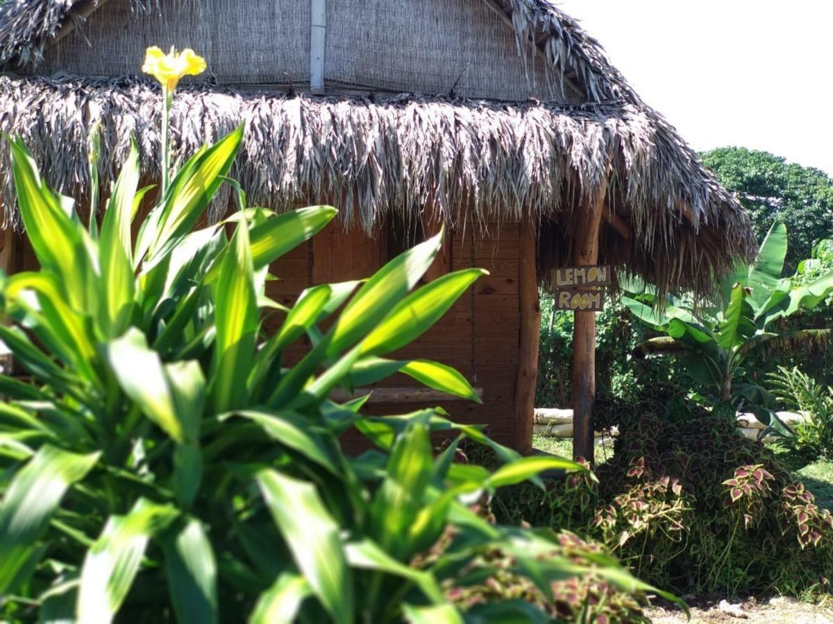 Samana EcolodgeEl Limon エクステリア 写真