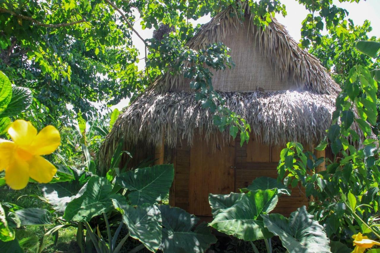 Samana EcolodgeEl Limon エクステリア 写真