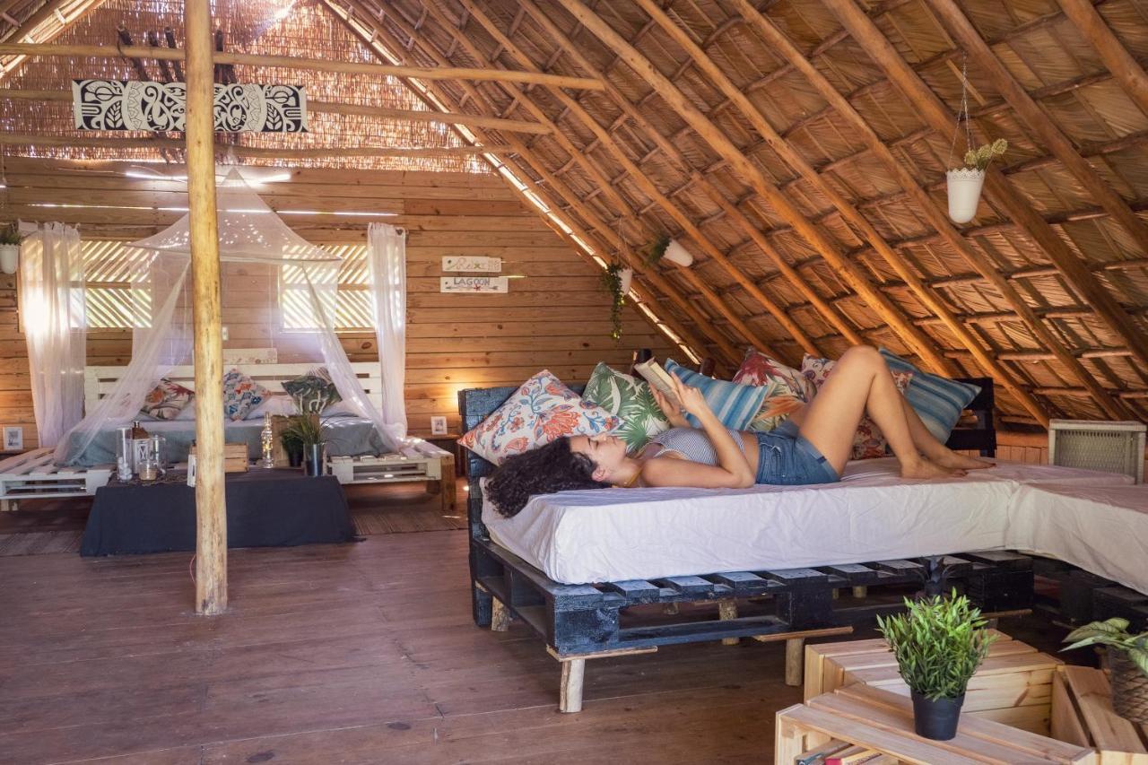 Samana EcolodgeEl Limon エクステリア 写真