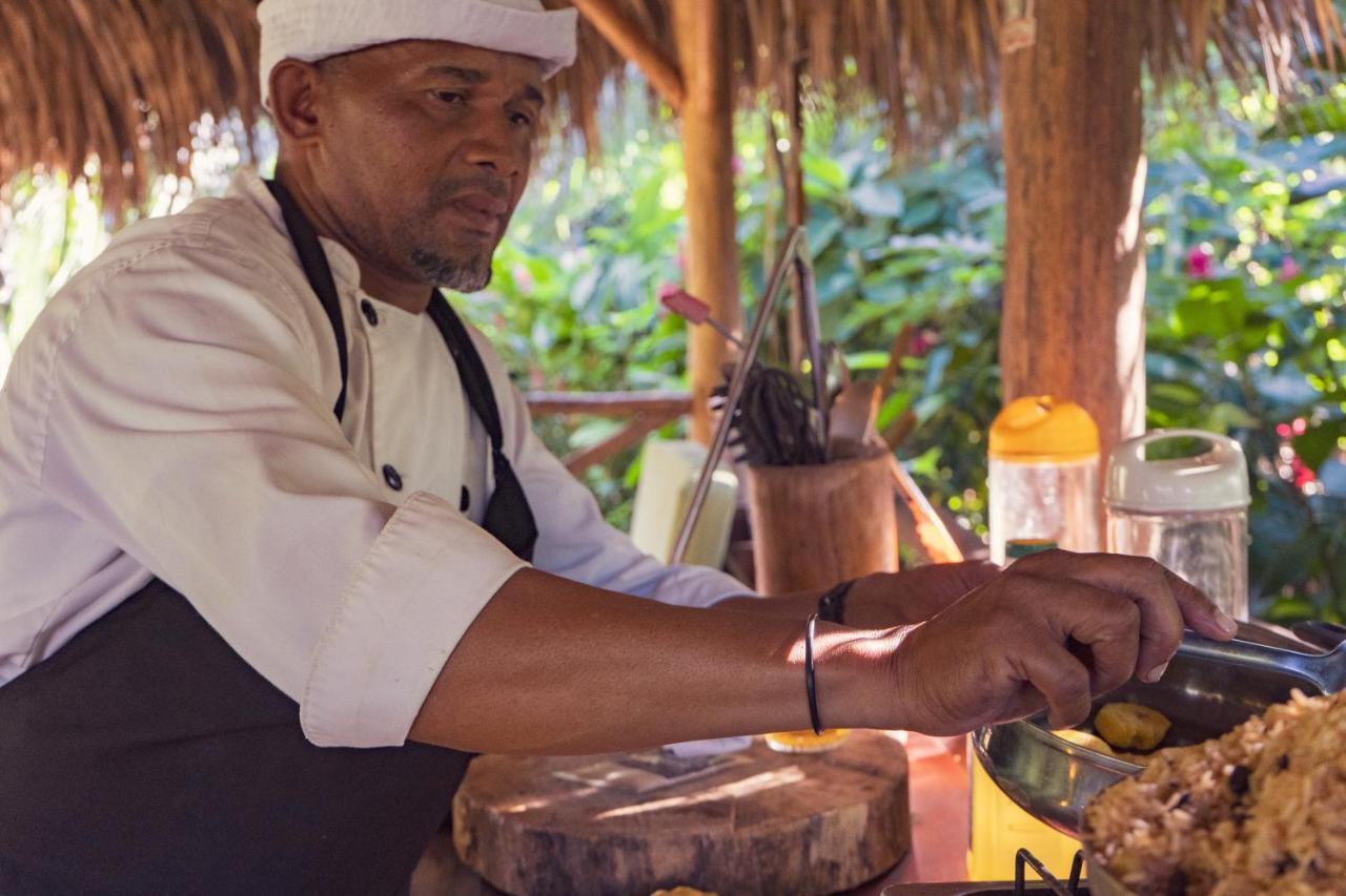 Samana EcolodgeEl Limon エクステリア 写真