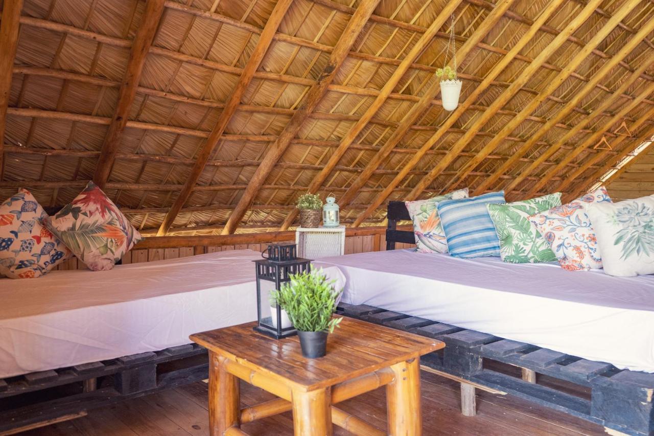 Samana EcolodgeEl Limon エクステリア 写真