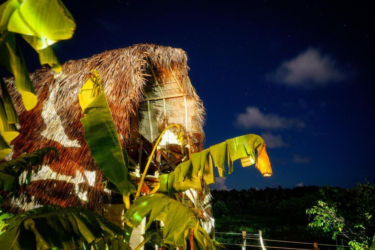 Samana EcolodgeEl Limon エクステリア 写真