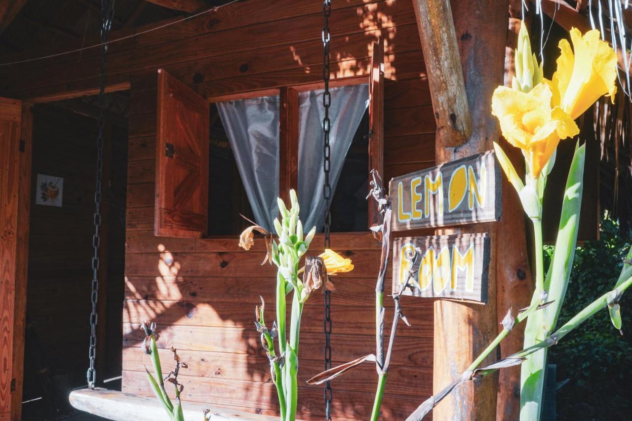 Samana EcolodgeEl Limon エクステリア 写真