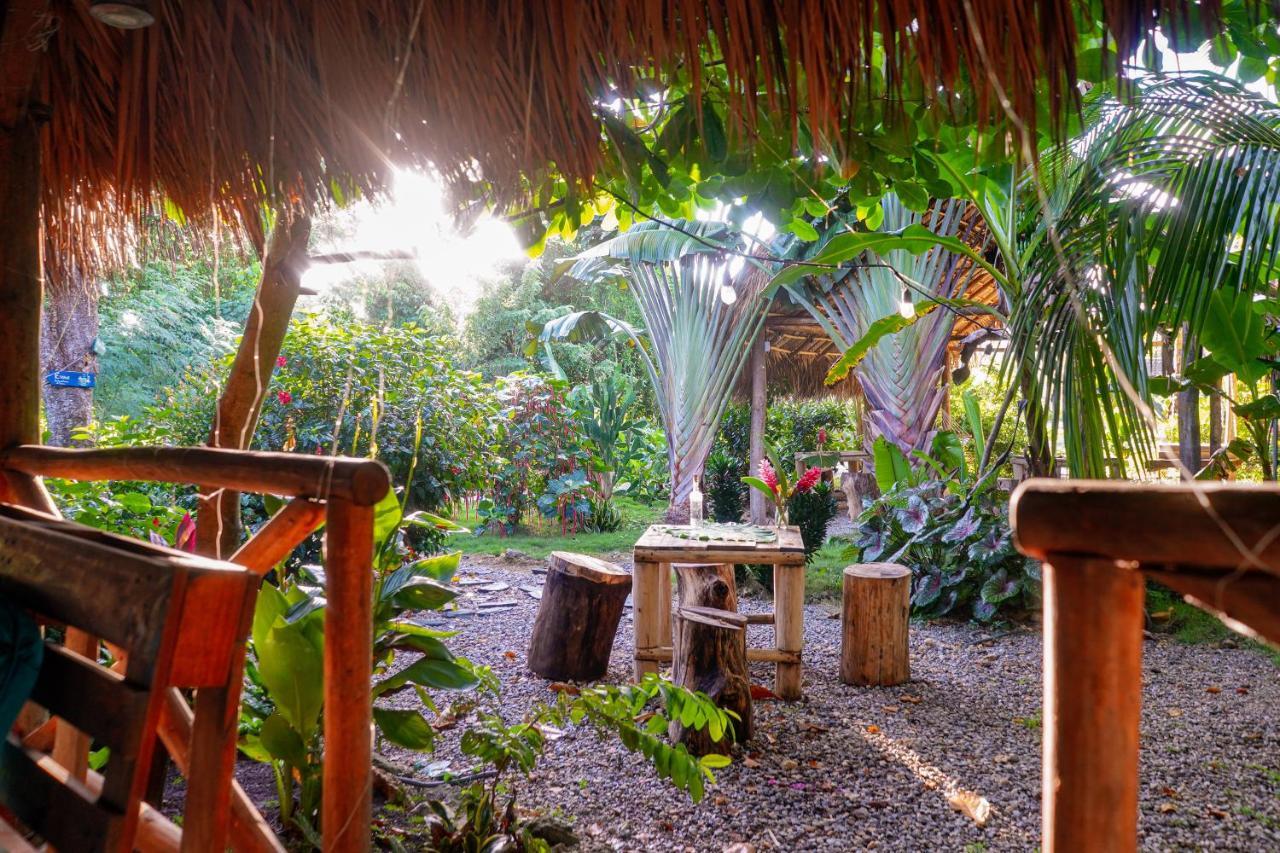 Samana EcolodgeEl Limon エクステリア 写真