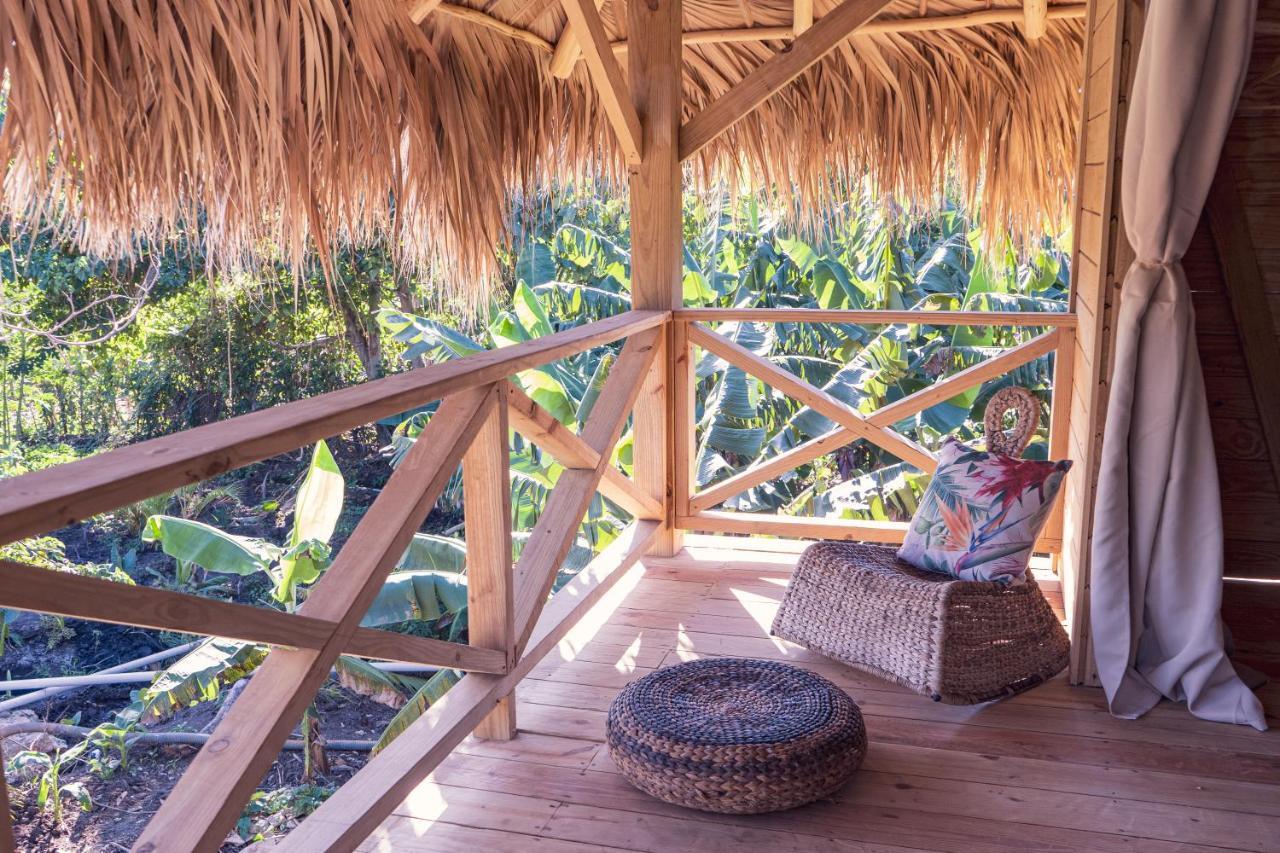 Samana EcolodgeEl Limon エクステリア 写真