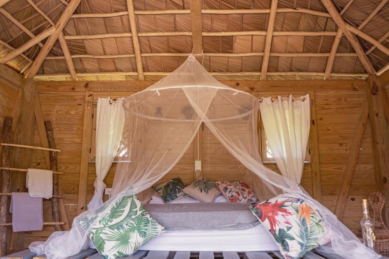 Samana EcolodgeEl Limon エクステリア 写真