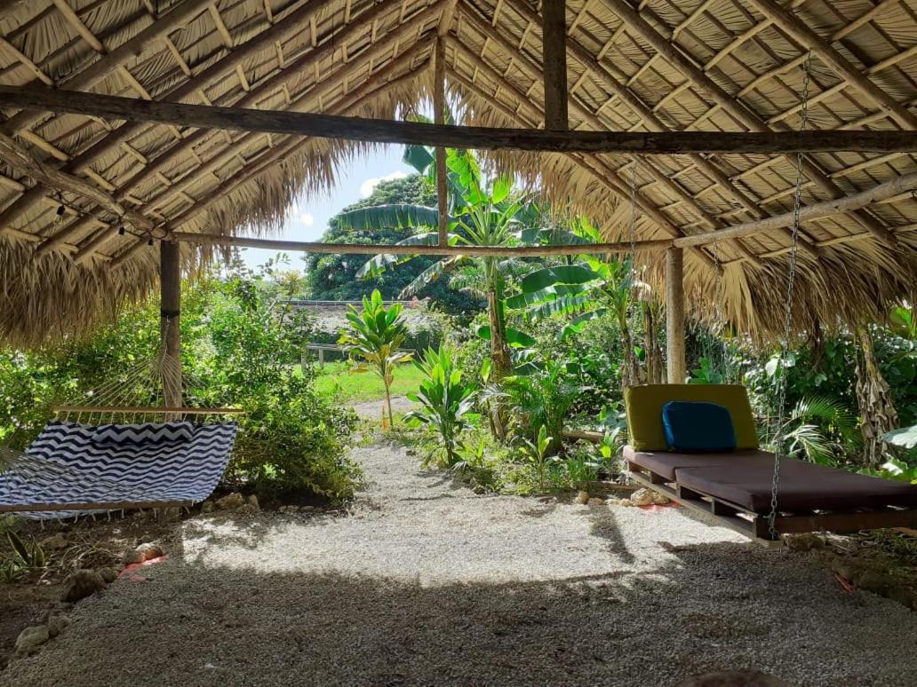Samana EcolodgeEl Limon エクステリア 写真