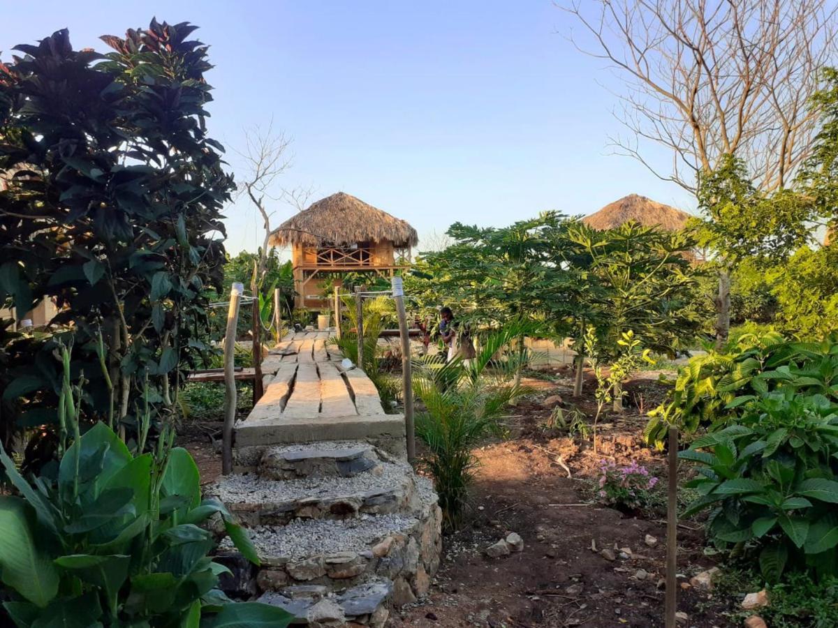 Samana EcolodgeEl Limon エクステリア 写真