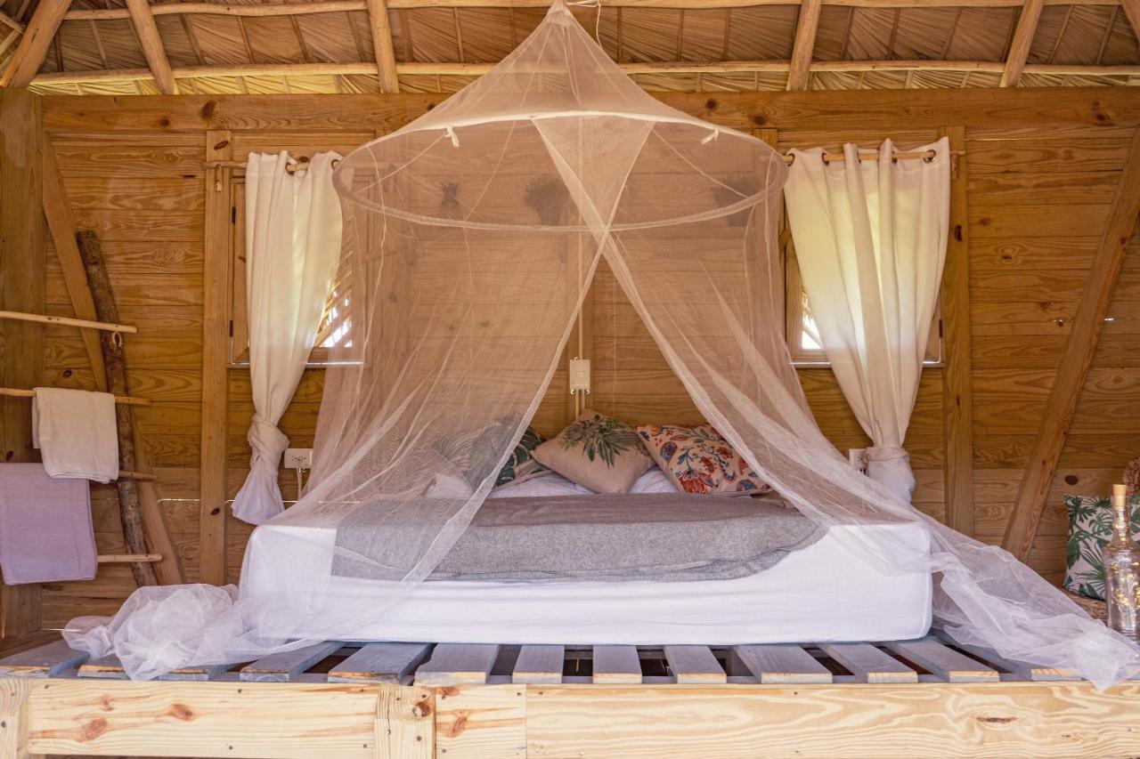 Samana EcolodgeEl Limon エクステリア 写真