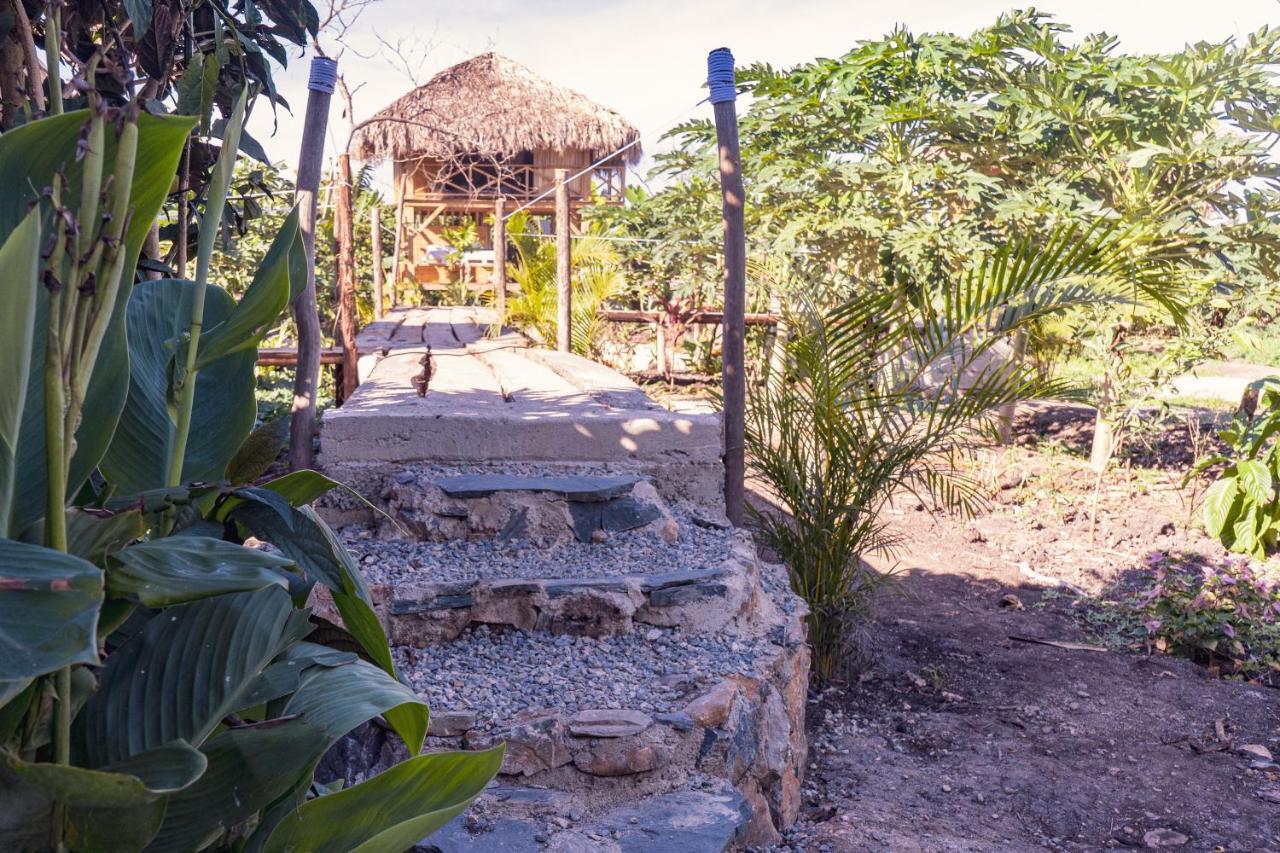 Samana EcolodgeEl Limon エクステリア 写真