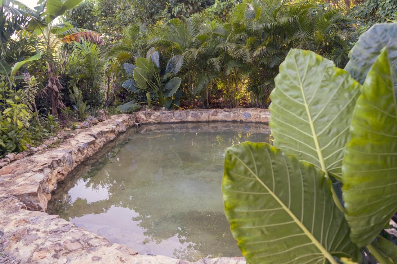 Samana EcolodgeEl Limon エクステリア 写真