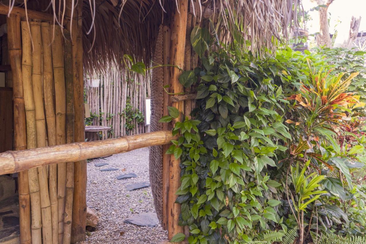Samana EcolodgeEl Limon エクステリア 写真