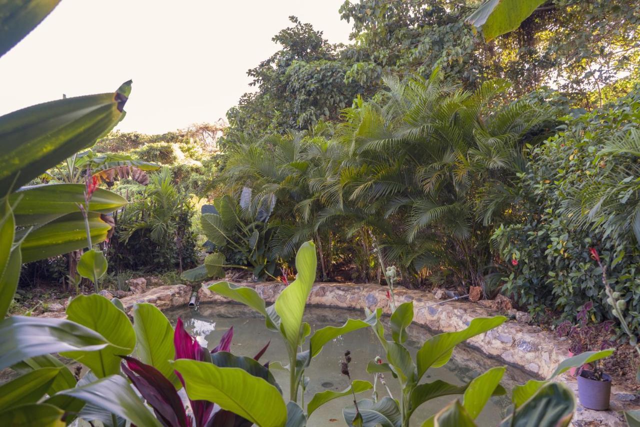 Samana EcolodgeEl Limon エクステリア 写真