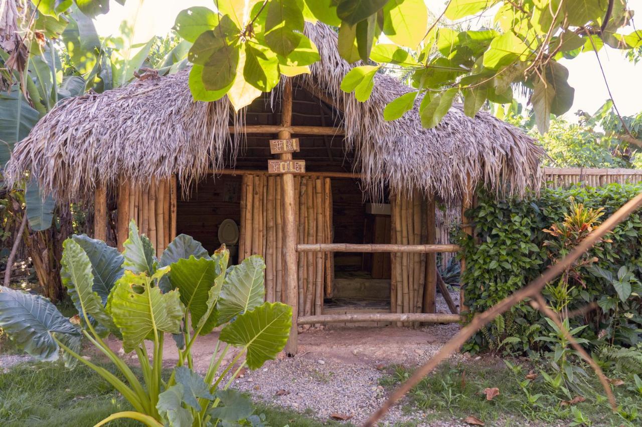 Samana EcolodgeEl Limon エクステリア 写真