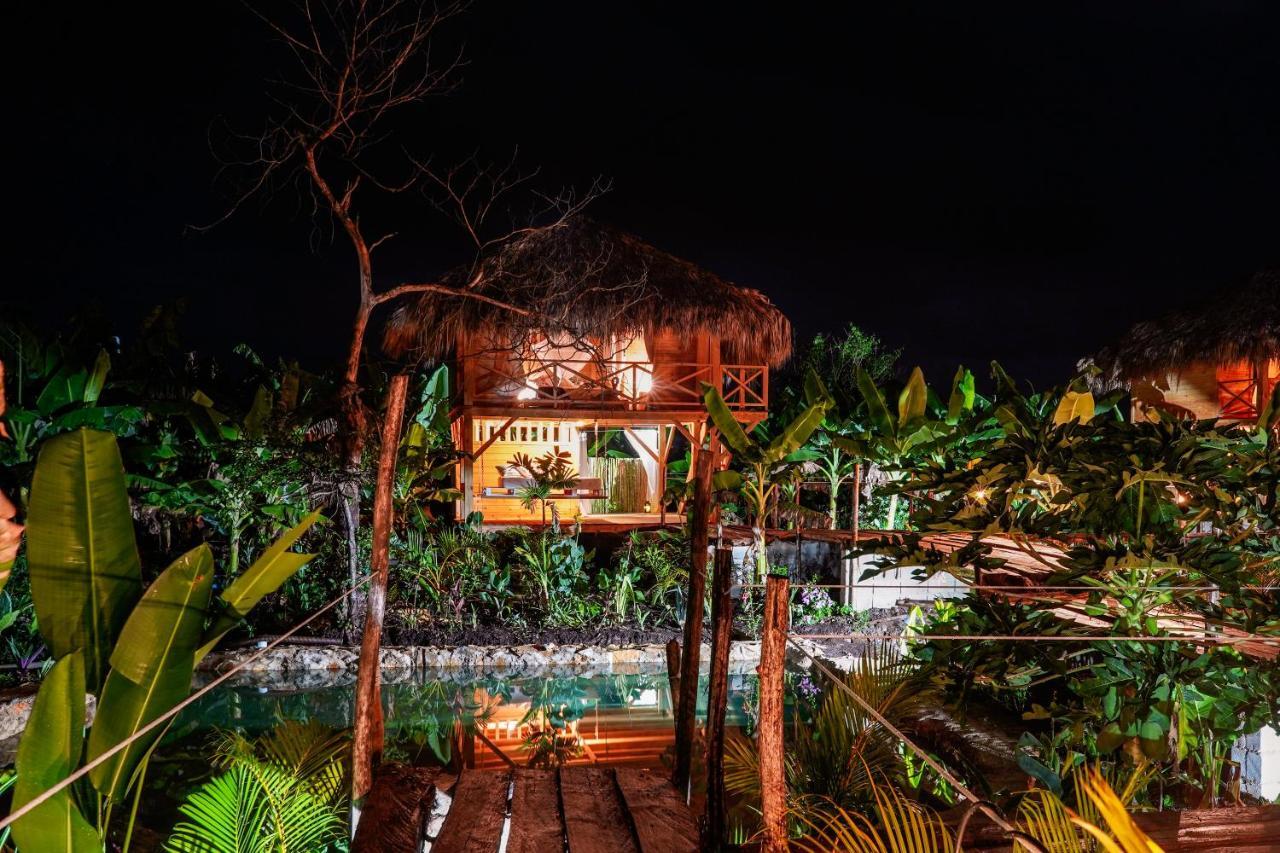 Samana EcolodgeEl Limon エクステリア 写真