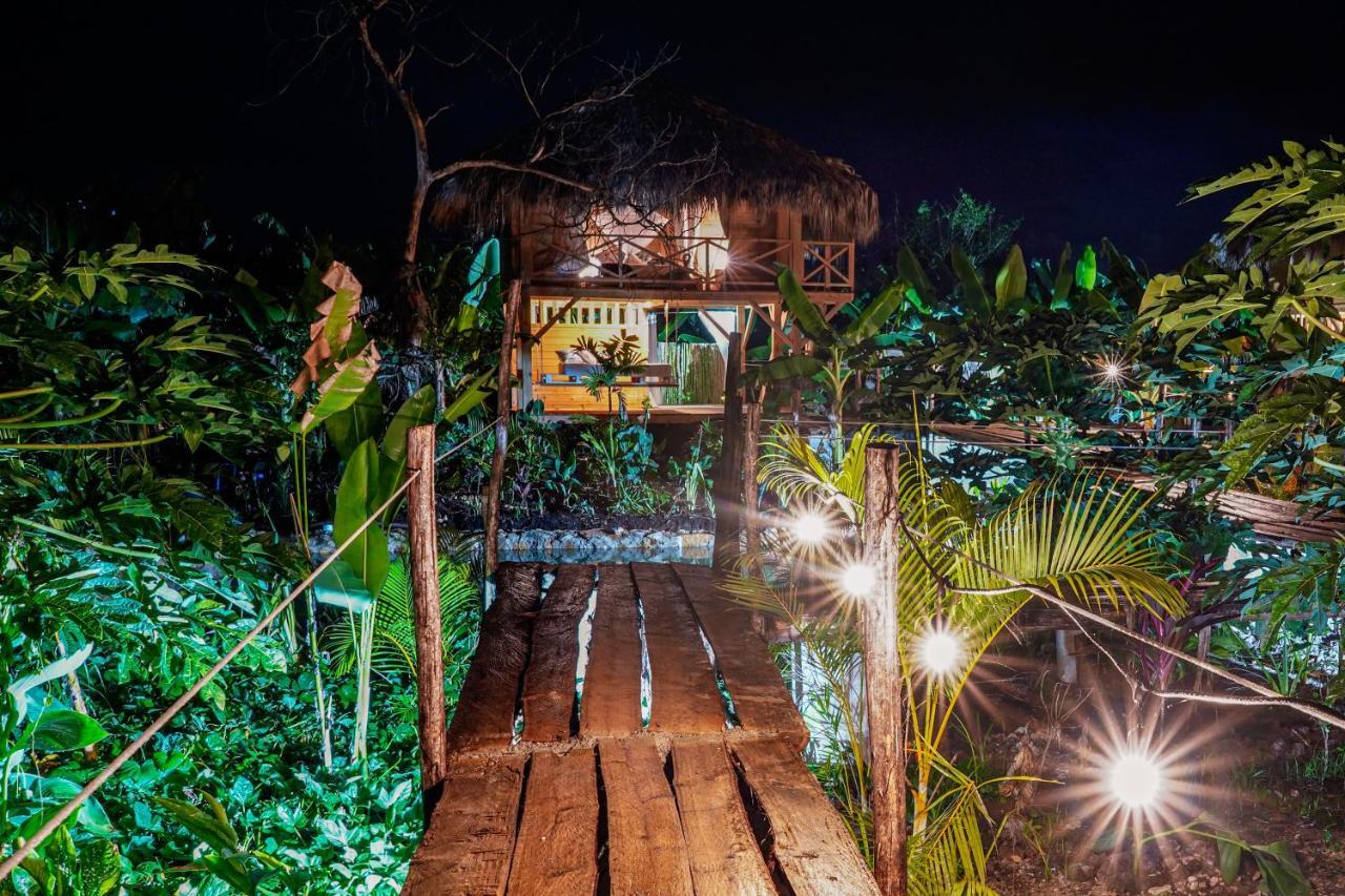Samana EcolodgeEl Limon エクステリア 写真
